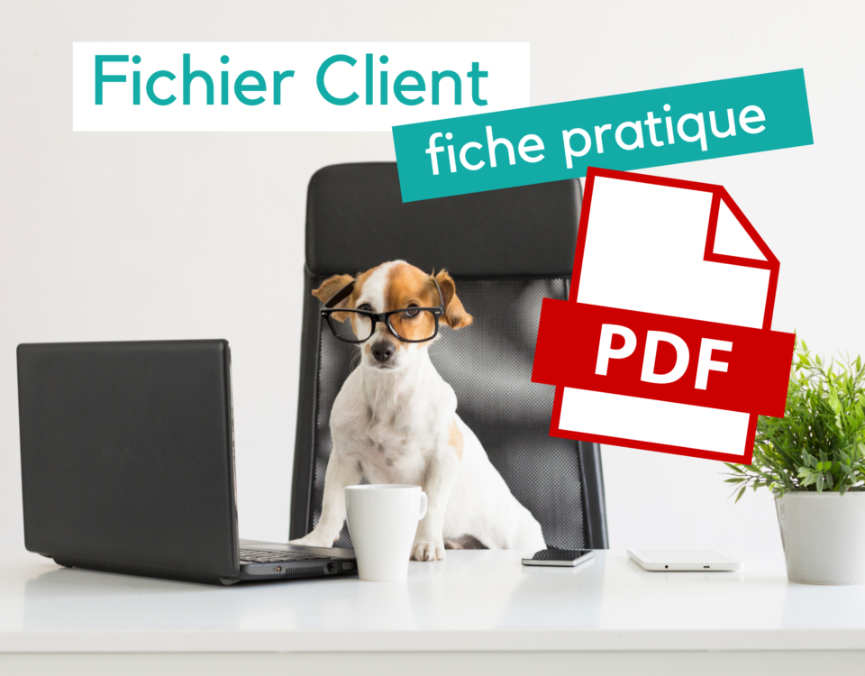 fichier client - fiche pratique